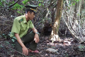 BQL VQG Phong Nha – Kẻ Bàng: Tăng cường các biện pháp bảo vệ động vật hoang dã khu vực VQG Phong Nha – Kẻ Bàng